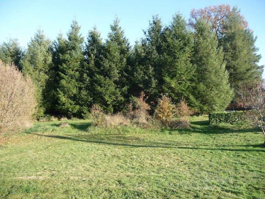 Gite Des Forces - Limousin - Haute Vienne Saint-Bazile Екстер'єр фото